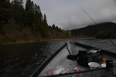 DSC_0202 (Large).JPG